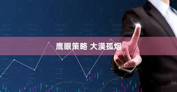 鹰眼策略 大漠孤烟